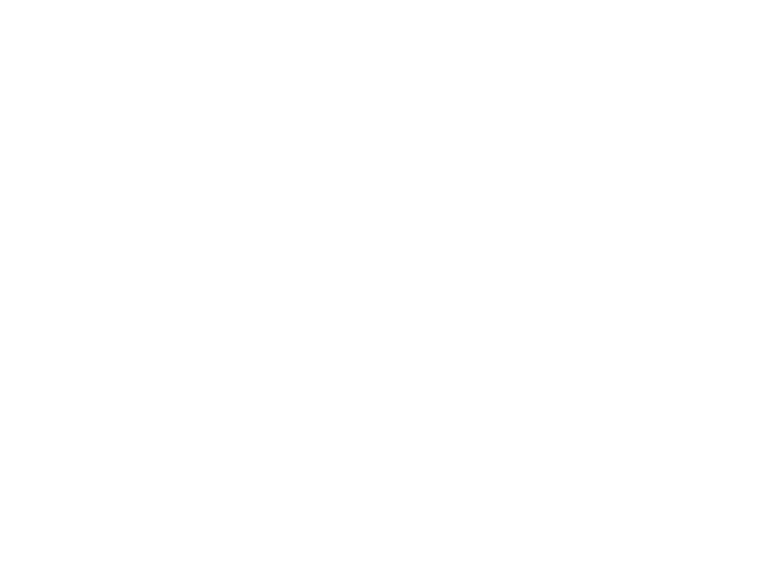 Olive Anatolian Restaurant